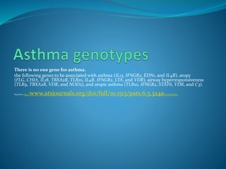 There is no one gene for asthma.
the following genes to be associated with asthma (IL13, IFNGR2, EDN1, and IL4R), atopy
(FLG, CHIA, IL18, TBXA2R, TLR10, IL4R, IFNGR2, LTA, and VDR), airway hyperresponsiveness
(TLR9, TBXA2R, VDR, and NOD2), and atopic asthma (TLR10, IFNGR2, STAT6, VDR, and C3).
Read More: http://www.atsjournals.org/doi/full/10.1513/pats.6.3.324a#.VUPoENLtmko
 