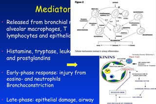 Asthma Posted 1018 06 | PPT