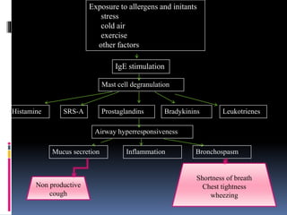 Exposure to allergens and initants
stress
cold air
exercise
other factors
IgE stimulation
Mast cell degranulation
Histamine ProstaglandinsSRS-A Bradykinins Leukotrienes
Airway hyperresponsiveness
Mucus secretion BronchospasmInflammation
Non productive
cough
Shortness of breath
Chest tightness
wheezing
 