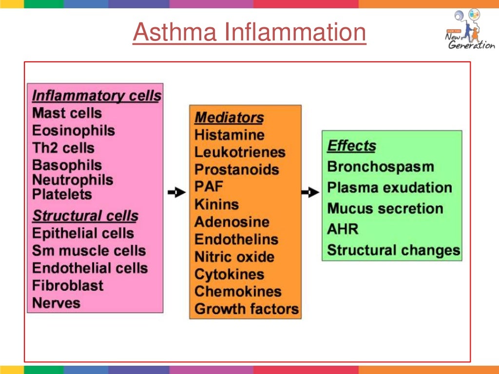 Asthma ppt