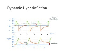 Dynamic Hyperinflation
 