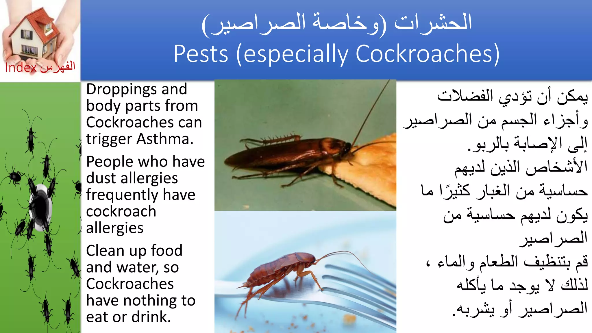 Asthma triggers &amp; iaq preventions  مفعلات أزمة الربو والوقاية_by Getco