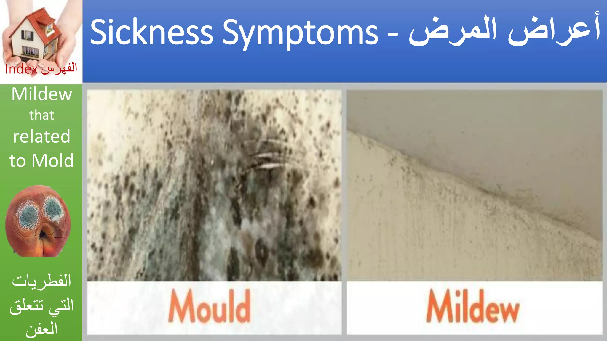 Asthma triggers &amp; iaq preventions  مفعلات أزمة الربو والوقاية_by Getco