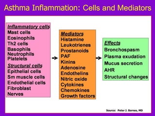 Asthma Inflammation: Cells and Mediators

Source: Peter J. Barnes, MD

 