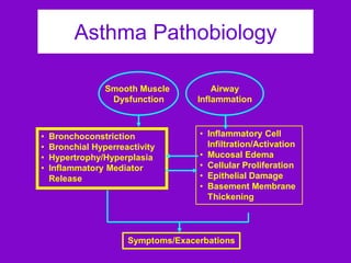 Asthma Pathobiology
Smooth Muscle
Dysfunction

•
•
•
•

Bronchoconstriction
Bronchial Hyperreactivity
Hypertrophy/Hyperplasia
Inflammatory Mediator
Release

Airway
Inflammation

• Inflammatory Cell
Infiltration/Activation
• Mucosal Edema
• Cellular Proliferation
• Epithelial Damage
• Basement Membrane
Thickening

Symptoms/Exacerbations

 