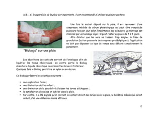 N.B. : Si la superficie de la plaie est importante, il est recommandé d'utiliser plusieurs sachets.


                                                    Une fois le sachet déposé sur la plaie, il est recouvert d’une
                                                compresse imbibée de sérum physiologique qui peut être remplacée
                                                plusieurs fois par jour selon l’importance des exsudats. Le montage est
                                                stabilisé par un bandage léger. Il peut rester en place de 4 à 5 jours.
                                                    Afin d’éviter que les vers ne fassent trop saigner le tissu de
                                                granulation (action puissante des enzymes protéolytiques), l’application
                                                ne doit pas dépasser ce laps de temps sans défaire complètement le
                                                pansement.
      "Biobags" sur une plaie

       Les sécrétions des asticots sortent de l’enveloppe afin de
liquéfier les tissus nécrotiques ; en contre partie le Biobag
absorbe le liquide nécrotique nourrissant les larves à l’intérieur.
Quelques fois le Biobag peut être en nylon ou en dacron.

Ce Biobag présente les avantages suivants :

      une application facile ;
      une diminution de l’inconfort ;
      une diminution de la possibilité à laisser les larves s’échapper ;
      la satisfaction de ne pas en oublier dans la plaie.
      Par contre, il a été signalé qu’en limitant le contact direct des larves avec la plaie, le bénéfice mécanique serait
      réduit, d’où une détersion moins efficace.


                                                                                                                       12
 