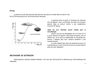 Elevage

      La mouche Lucilia Séricata pond des œufs sur une pièce de viande dans un endroit clos.
De 8 à 24 heures plus tard, les larves sortent des œufs.

                                                                 La période entre la ponte et l’éclosion est réservée
                                                           afin de séparer, laver et stériliser les œufs et les placer
                                                           ensuite dans un endroit stérile à une température
                                                           d'environ 8° Celsius.

                                                           Seuls les vers       stérilisés   seront   utilisés   pour   la
                                                           larvothérapie.
                                                                  Nourris, les vers se développent de 1 à 11 mm en 4 à
                                                           6 jours. Ensuite ils migrent, sans risque de ponte, vers un
                                                           endroit sec, où ils vont se transformer en chrysalide qui,
                                                           environ 1 semaine plus tard, donnera naissance à une
                                                           nouvelle mouche.
                                                                  Le cycle complet dure donc une quinzaine de jours. La
                                                           transformation à court terme de la larve en mouche dans la
                                                           plaie est ainsi impossible.




MECANISME DE DETERSION

       Après plusieurs dizaines d’années d’études, il est clair que l’efficacité de la détersion par l’asticothérapie est
indéniable.
                                                                                                                        8
 