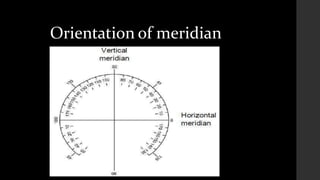 Orientation of meridian
 