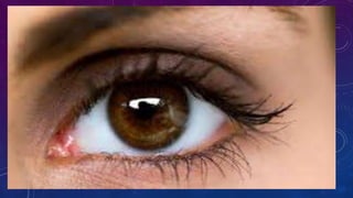 O QUE É?
Astigmatismo é uma deficiência visual, causada pelo formato irregular da córnea
ou do cristalino, formando uma imagem em vários focos que se encontram em
eixos diferentes. Uma córnea normal é redonda e lisa. Nos casos de astigmatismo, a
curvatura da córnea é mais ovalada, como uma bola de futebol americano. Este
desajuste faz com que a luz se refrate por vários pontos da retina em vez de se
focar em apenas um. Para as pessoas que sofrem de astigmatismo, todos os
objetos, próximos ou distantes, ficam distorcidos. As imagens ficam embaçadas
porque alguns dos raios de luz são focalizados e outros não. A sensação é parecida
com a distorção produzida por um pedaço de vidro ondulado.
 