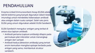 Comprehensive Overview of ELISA Sandwich Technique in Immunology | PPTX