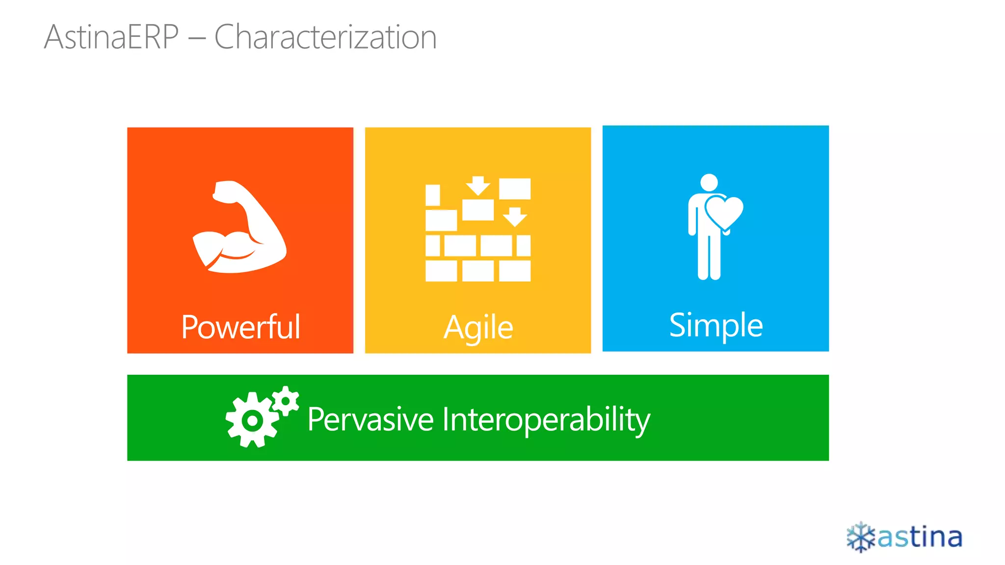 AstinaERP – Characterization
 