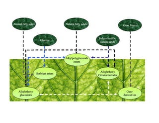 Sustainable Soil Surfactants for Turfgrass Management