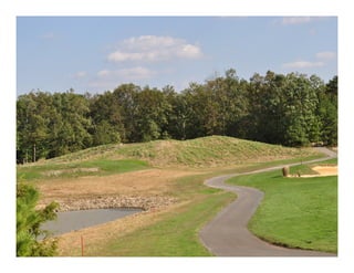 Sustainable Soil Surfactants for Turfgrass Management