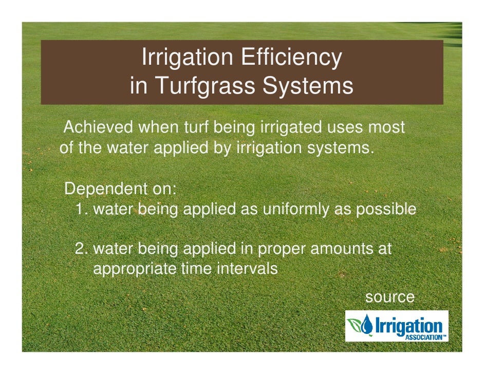 turfgrass irrigation