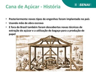Cana de Açúcar - História
• Posteriormente novos tipos de engenhos foram implantado no país
• Usando mão de obra escrava
• E fora do Brasil também foram descobertas novas técnicas de
extração do açúcar e a utilização do bagaço para a produção de
papel
 