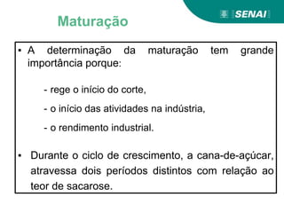 Maturação
▪ A determinação da maturação tem grande
importância porque:
- rege o início do corte,
- o início das atividades na indústria,
- o rendimento industrial.
▪ Durante o ciclo de crescimento, a cana-de-açúcar,
atravessa dois períodos distintos com relação ao
teor de sacarose.
 