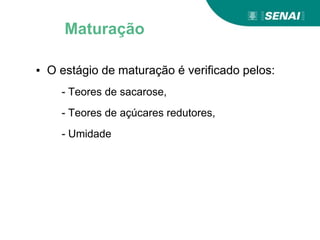 ▪ O estágio de maturação é verificado pelos:
- Teores de sacarose,
- Teores de açúcares redutores,
- Umidade
Maturação
 