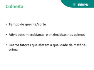 Colheita
• Tempo de queima/corte
• Atividades microbianas e enzimáticas nos colmos
• Outros fatores que afetam a qualidade da matéria-
prima
 