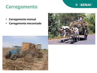 Carregamento
• Carregamento manual
• Carregamento mecanizado
 