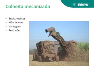 Colheita mecanizada
• Equipamentos
• Mão de obra
• Vantagens
• Restrições
 