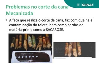Problemas no corte da cana
Mecanizada
• A faca que realiza o corte da cana, faz com que haja
contaminação do tolete, bem como perdas de
matéria-prima como a SACAROSE.
 