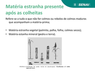 Matéria estranha presente
após as colheitas
Refere-se a tudo o que não for colmos ou rebolos de colmos maduros
que acompanham a matéria-prima;
• Matéria estranha vegetal (palmito, palha, folha, colmos secos);
• Matéria estanha mineral (pedra e terra).
 