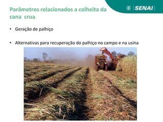 Parâmetros relacionados a colheita da
cana crua
• Geração de palhiço
• Alternativas para recuperação do palhiço no campo e na usina
 