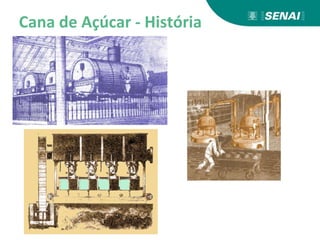 Cana de Açúcar - História
 