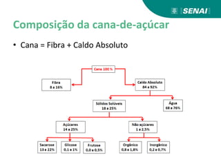 Composição da cana-de-açúcar
• Cana = Fibra + Caldo Absoluto
 