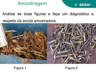 Análise as duas figuras e faça um diagnóstico a
respeito da sonda amostradora.
Figura 1 Figura 2
Amostragem
 