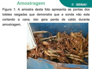 Figura 1: A amostra desta foto apresenta as pontas dos
toletes rasgadas que demonstra que a sonda não esta
cortando a cana, isto gera perda de caldo durante
amostragem.
Amostragem
 