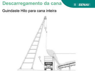 Guindaste Hilo para cana inteira
Descarregamento da cana
 