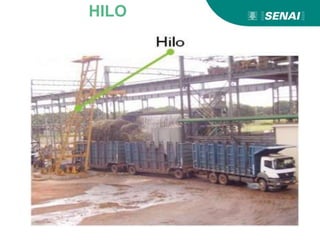 HILO
 