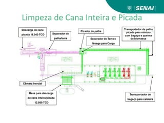 Limpeza de Cana Inteira e Picada
 