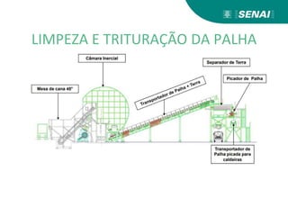 LIMPEZA E TRITURAÇÃO DA PALHA
 