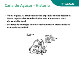 Cana de Açúcar - História
• Veio a riqueza. O parque canavieiro expandiu e novas destilarias
foram implantadas e modernizadas para atenderem a nova
demanda Nacional.
• Milhares de empregos diretos e indiretos foram preenchidos e a
economia expandindo.
 
