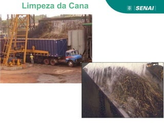 Limpeza da Cana
 