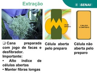 ❑ Cana preparada
com jogo de facas e
desfibrador.
Importante:
• Alto índice de
células abertas
• Manter fibras longas
Célula aberta
pelo preparo
Célula não
aberta pelo
preparo
Extração
 