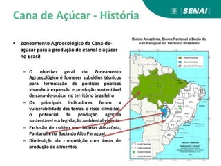 Cana de Açúcar - História
• Zoneamento Agroecológico da Cana-de-
açúcar para a produção de etanol e açúcar
no Brasil
– O objetivo geral do Zoneamento
Agroecológico é fornecer subsídios técnicos
para formulação de políticas públicas
visando à expansão e produção sustentável
de cana-de-açúcar no território brasileiro
– Os principais indicadores foram a
vulnerabilidade das terras, o risco climático,
o potencial de produção agrícola
sustentável e a legislação ambiental vigente
– Exclusão de cultivo em biomas Amazônia,
Pantanal e na Bacia do Alto Paraguai;
– Diminuição da competição com áreas de
produção de alimentos
 