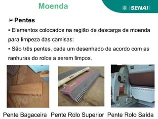 Pente Rolo Saída
Pente Rolo Superior
Pente Bagaceira
Moenda
➢Pentes
▪ Elementos colocados na região de descarga da moenda
para limpeza das camisas:
▪ São três pentes, cada um desenhado de acordo com as
ranhuras do rolos a serem limpos.
 