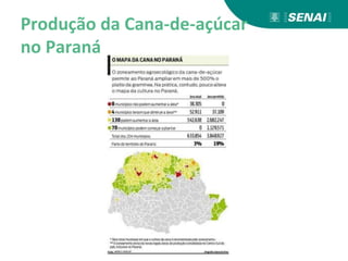 Produção da Cana-de-açúcar
no Paraná
 