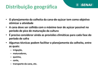 Distribuição geográfica
• O planejamento da colheita da cana-de-açúcar tem como objetivo
otimizar a atividade
• A cana deve ser colhida com o máximo teor de açúcar possível no
período de pico de maturação da cultura
• É preciso considerar ainda as previsões climáticas para cada fase do
período de safra
• Algumas técnicas podem facilitar o planejamento da colheita, entre
as quais:
– irrigação,
– maturadores,
– queima,
– corte,
– transporte da cana, etc.
 