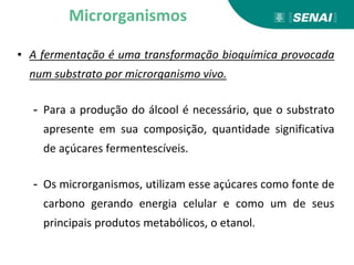 ▪ A fermentação é uma transformação bioquímica provocada
num substrato por microrganismo vivo.
- Para a produção do álcool é necessário, que o substrato
apresente em sua composição, quantidade significativa
de açúcares fermentescíveis.
- Os microrganismos, utilizam esse açúcares como fonte de
carbono gerando energia celular e como um de seus
principais produtos metabólicos, o etanol.
Microrganismos
 