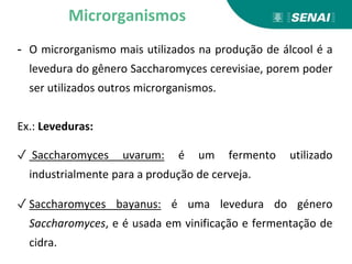 - O microrganismo mais utilizados na produção de álcool é a
levedura do gênero Saccharomyces cerevisiae, porem poder
ser utilizados outros microrganismos.
Ex.: Leveduras:
✓ Saccharomyces uvarum: é um fermento utilizado
industrialmente para a produção de cerveja.
✓ Saccharomyces bayanus: é uma levedura do género
Saccharomyces, e é usada em vinificação e fermentação de
cidra.
Microrganismos
 