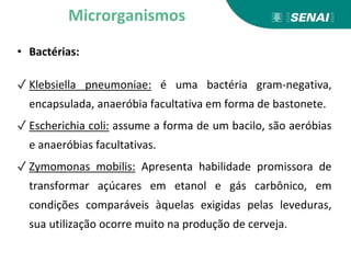 • Bactérias:
✓ Klebsiella pneumoniae: é uma bactéria gram-negativa,
encapsulada, anaeróbia facultativa em forma de bastonete.
✓ Escherichia coli: assume a forma de um bacilo, são aeróbias
e anaeróbias facultativas.
✓ Zymomonas mobilis: Apresenta habilidade promissora de
transformar açúcares em etanol e gás carbônico, em
condições comparáveis àquelas exigidas pelas leveduras,
sua utilização ocorre muito na produção de cerveja.
Microrganismos
 