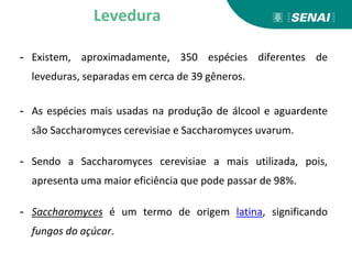 - Existem, aproximadamente, 350 espécies diferentes de
leveduras, separadas em cerca de 39 gêneros.
- As espécies mais usadas na produção de álcool e aguardente
são Saccharomyces cerevisiae e Saccharomyces uvarum.
- Sendo a Saccharomyces cerevisiae a mais utilizada, pois,
apresenta uma maior eficiência que pode passar de 98%.
- Saccharomyces é um termo de origem latina, significando
fungos do açúcar.
Levedura
 
