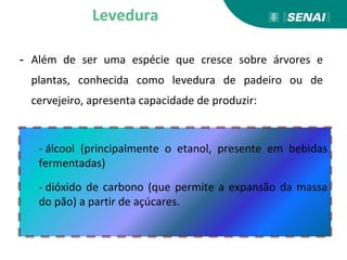 - Além de ser uma espécie que cresce sobre árvores e
plantas, conhecida como levedura de padeiro ou de
cervejeiro, apresenta capacidade de produzir:
Levedura
- álcool (principalmente o etanol, presente em bebidas
fermentadas)
- dióxido de carbono (que permite a expansão da massa
do pão) a partir de açúcares.
 