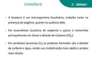- A levedura é um microrganismo facultativo, trabalha tanto na
presença de oxigênio, quanto na ausência dele.
- Em anaerobiose (ausência de oxigênio) o açúcar é convertido
principalmente em álcool e dióxido de Carbono (CO2).
- Em aerobiose (presença O2) os produtos formados são o dióxido
de carbono e água, sendo sua multiplicação mais rápida e produz
mais células.
Levedura
 