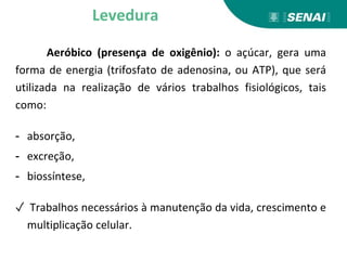 Aeróbico (presença de oxigênio): o açúcar, gera uma
forma de energia (trifosfato de adenosina, ou ATP), que será
utilizada na realização de vários trabalhos fisiológicos, tais
como:
- absorção,
- excreção,
- biossíntese,
✓ Trabalhos necessários à manutenção da vida, crescimento e
multiplicação celular.
Levedura
 