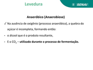 Anaeróbico (Anaerobiose)
✓ Na ausência de oxigênio (processo anaeróbico), a quebra do
açúcar é incompleta, formando então:
- o álcool que é o produto resultante,
- E o CO2 – utilizado durante o processo de fermentação.
Levedura
 